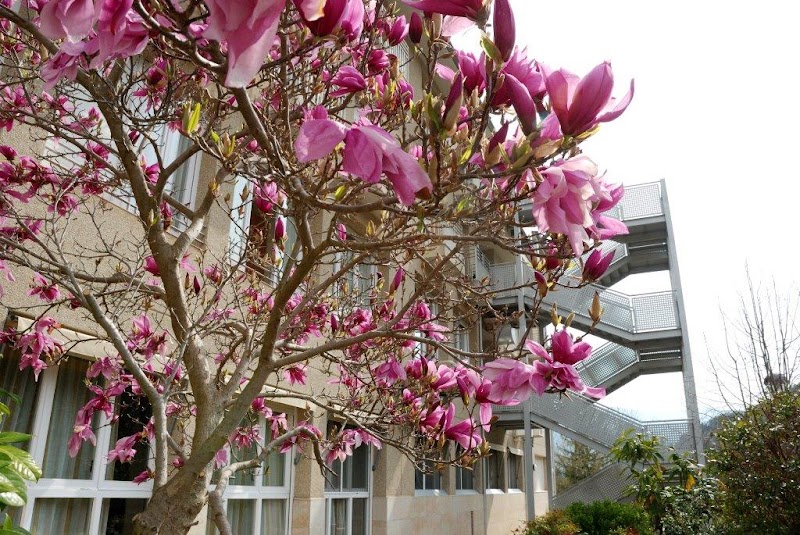 Colisée Bagà — foto 7