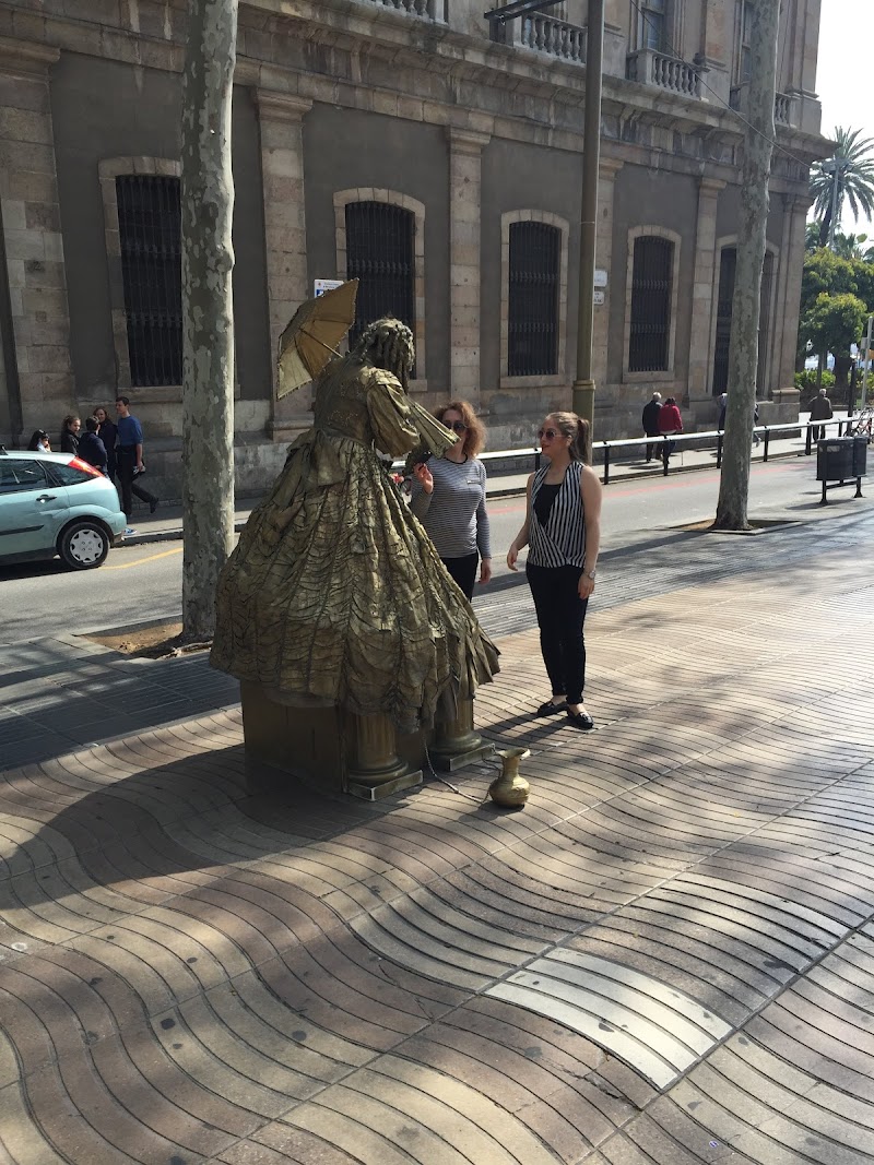 Residència assistida Ramon Sala - Club d'avis Les Saleses — foto 3