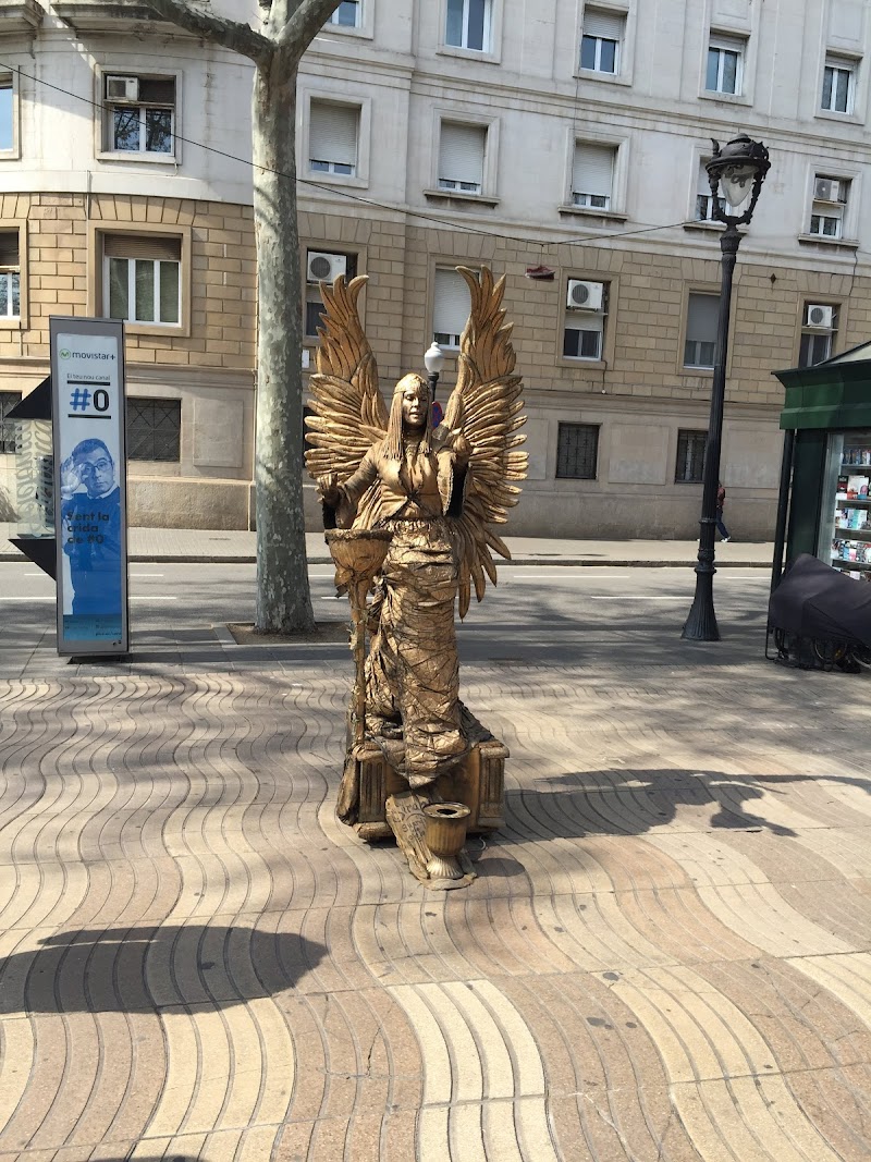 Residència assistida Ramon Sala - Club d'avis Les Saleses — foto 7