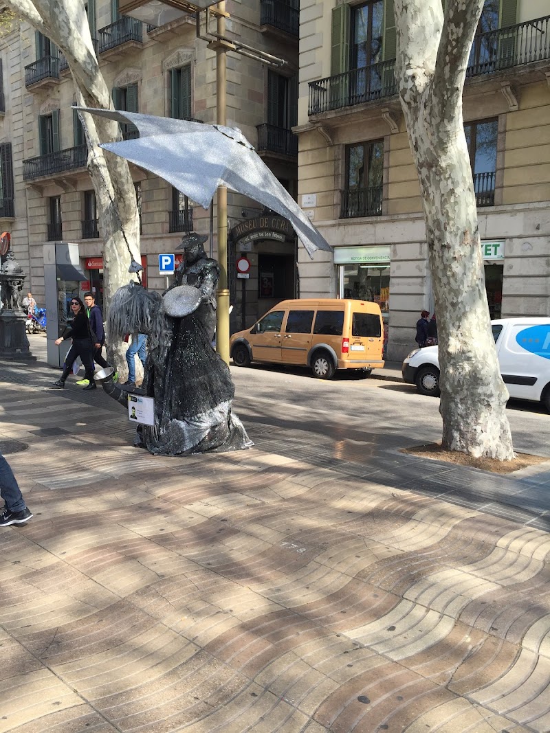 Residència assistida Ramon Sala - Club d'avis Les Saleses — foto 9