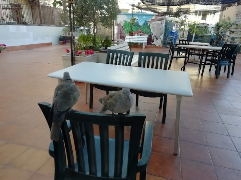 Centro geriátrico Gure-Etxea — foto 10