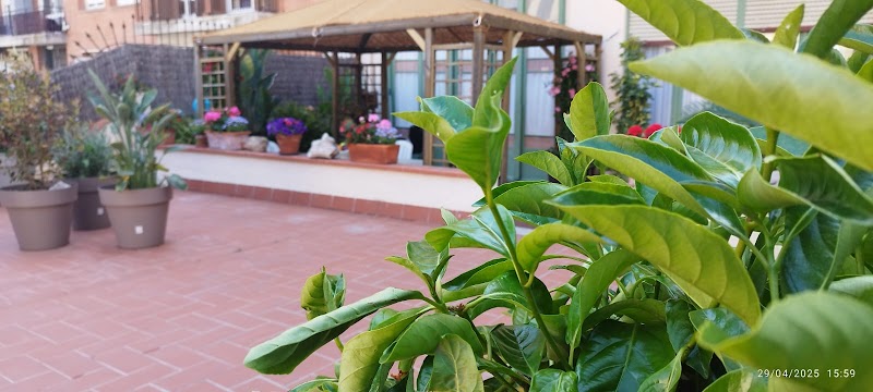 Residencia Maria Rifa — foto 8