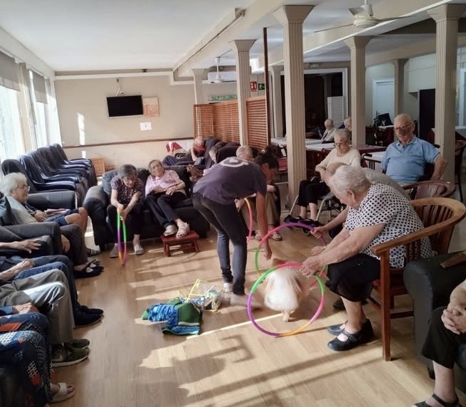 Royal Llar — foto 4