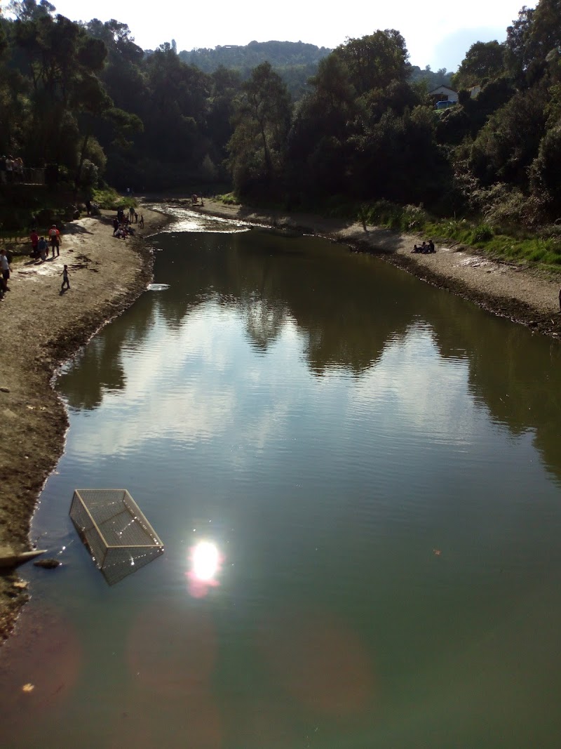 Edelweiss Vallvidrera — foto 7