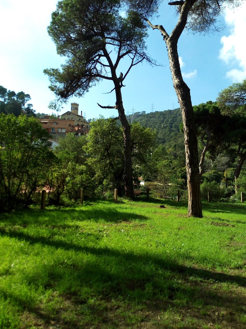 Edelweiss Vallvidrera — foto 8