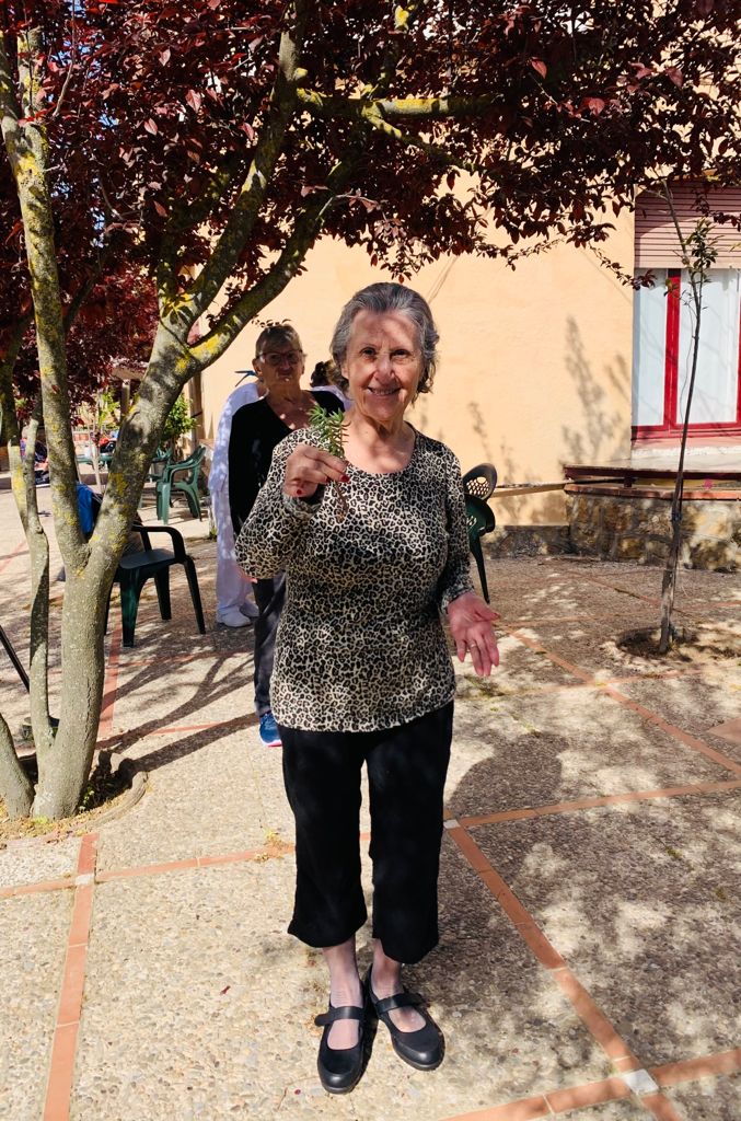 Edelweiss Vallvidrera — foto 9