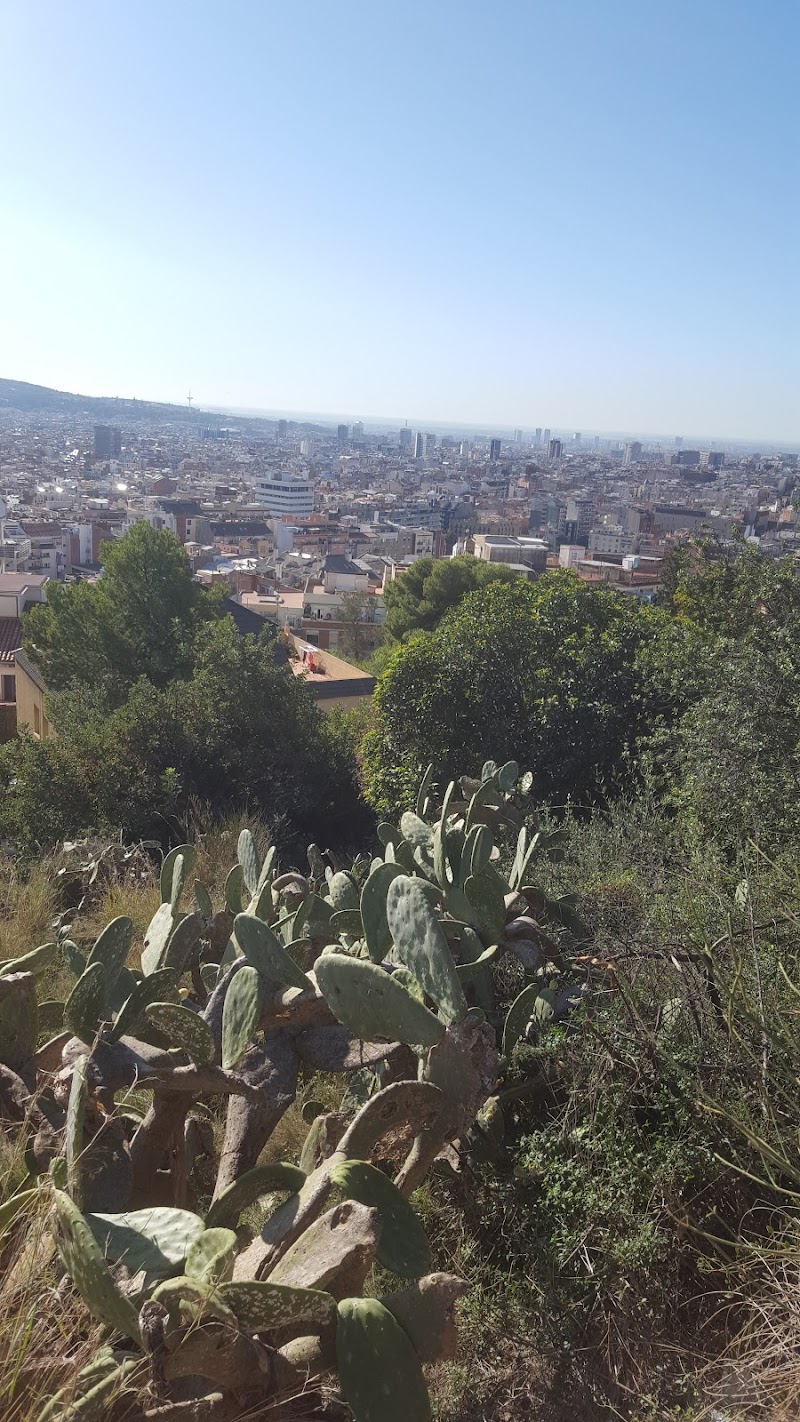 Residencia Francisco Darder — foto 5