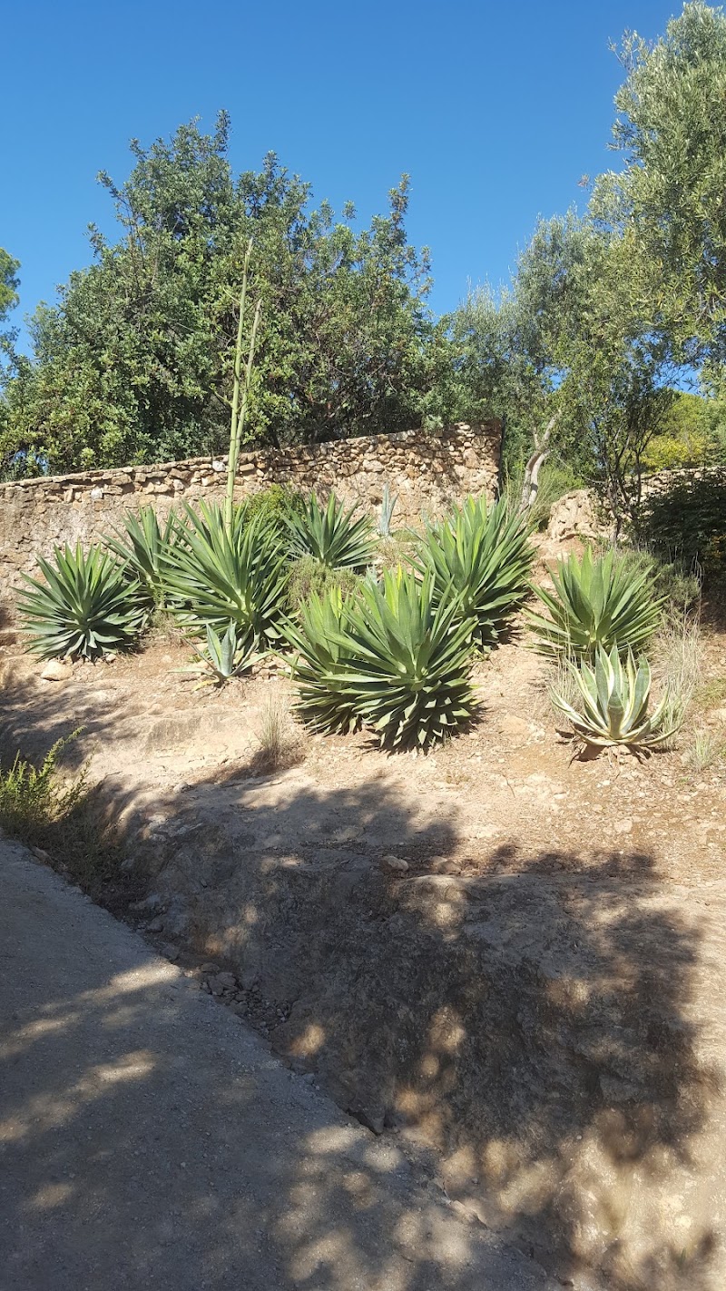 Residencia Francisco Darder — foto 6