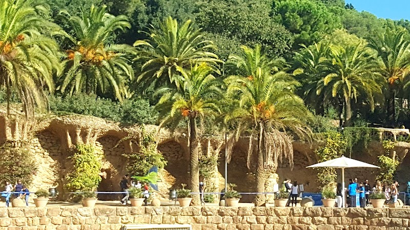 Residencia Francisco Darder — foto 10