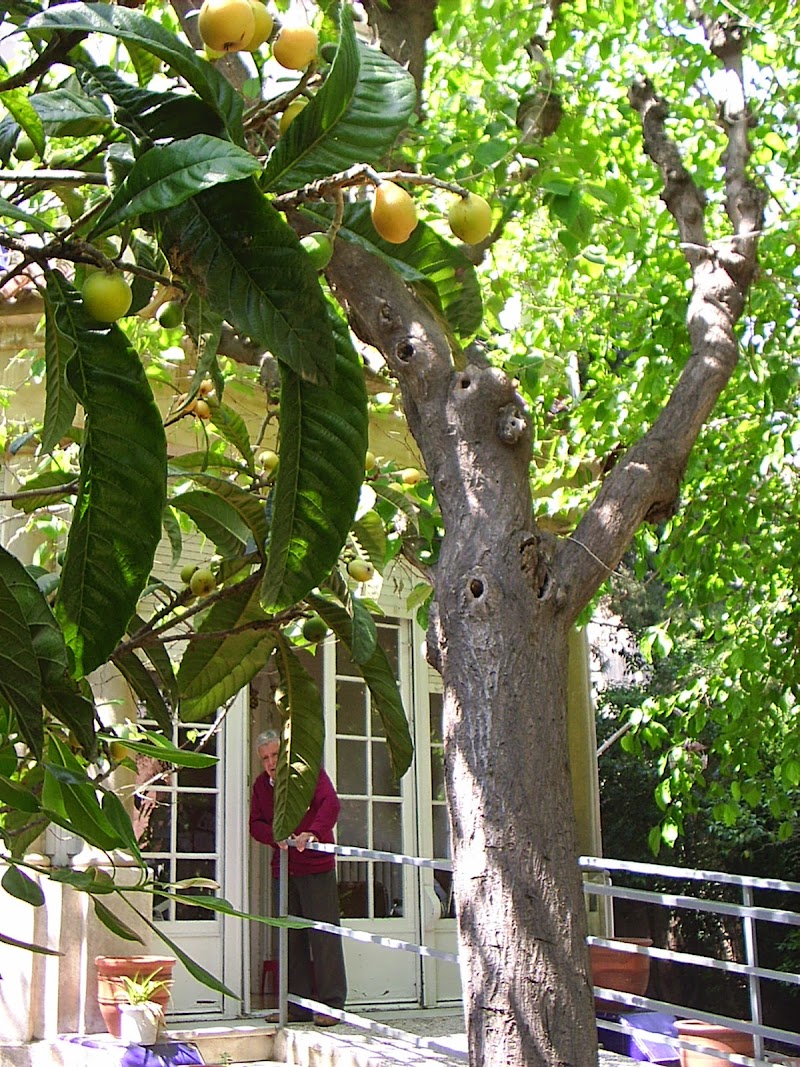 Residència geriàtrica Bon Viure — foto 6