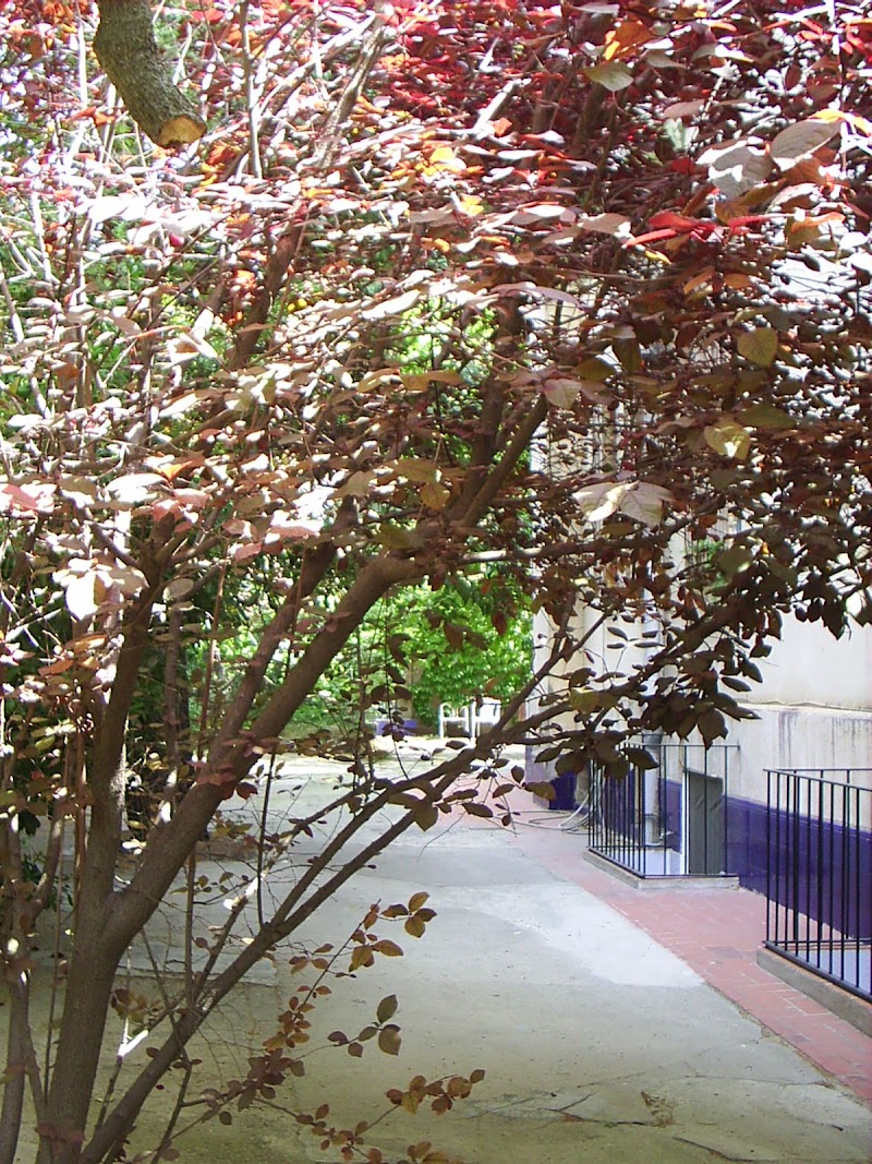 Residència geriàtrica Bon Viure — foto 7