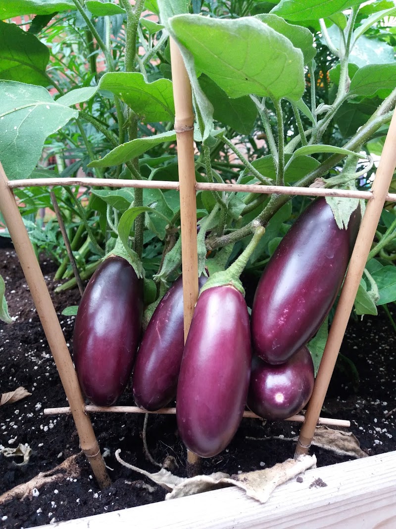 Masdeu Hogar — foto 8