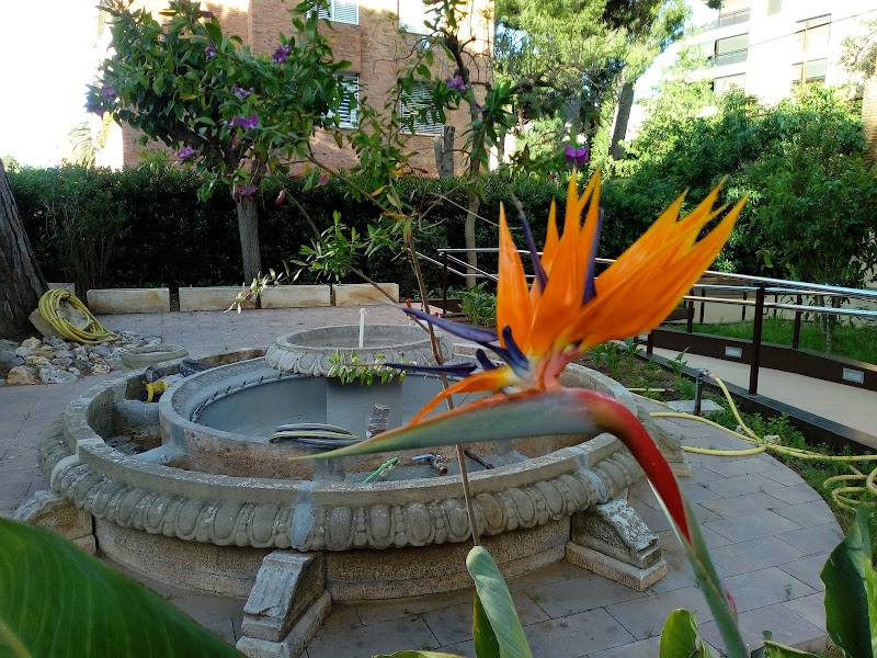 Residència de La Inmaculada — foto 10