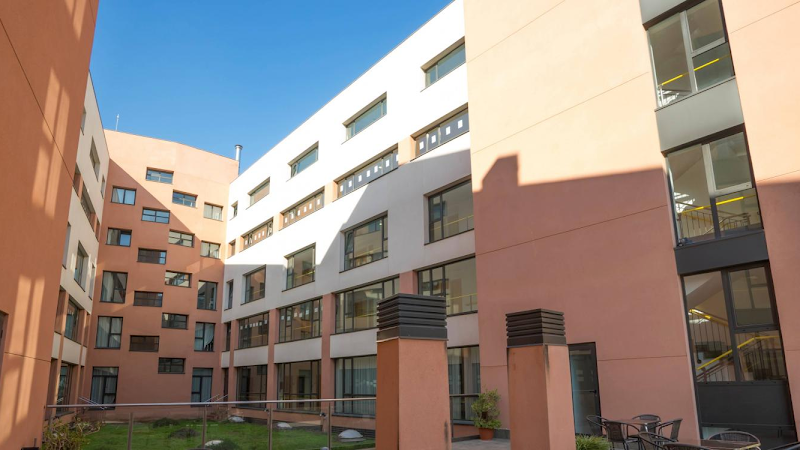 AMAVIR Horta — foto 3