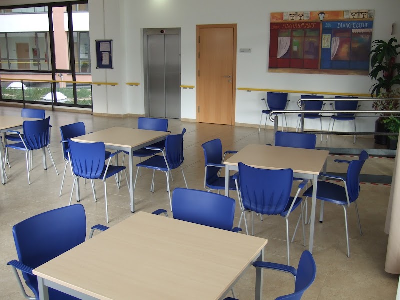 AMAVIR Horta — foto 4