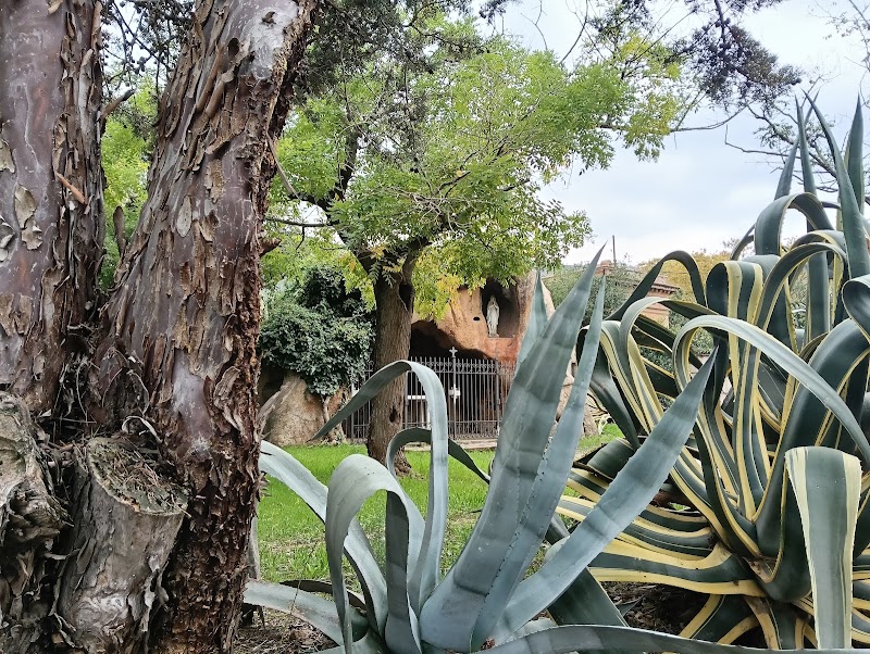 Fundació Albà - Hospital de Sant Miquel — foto 2