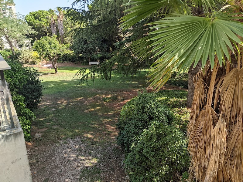 C. S. S. Sant Jordi — foto 5