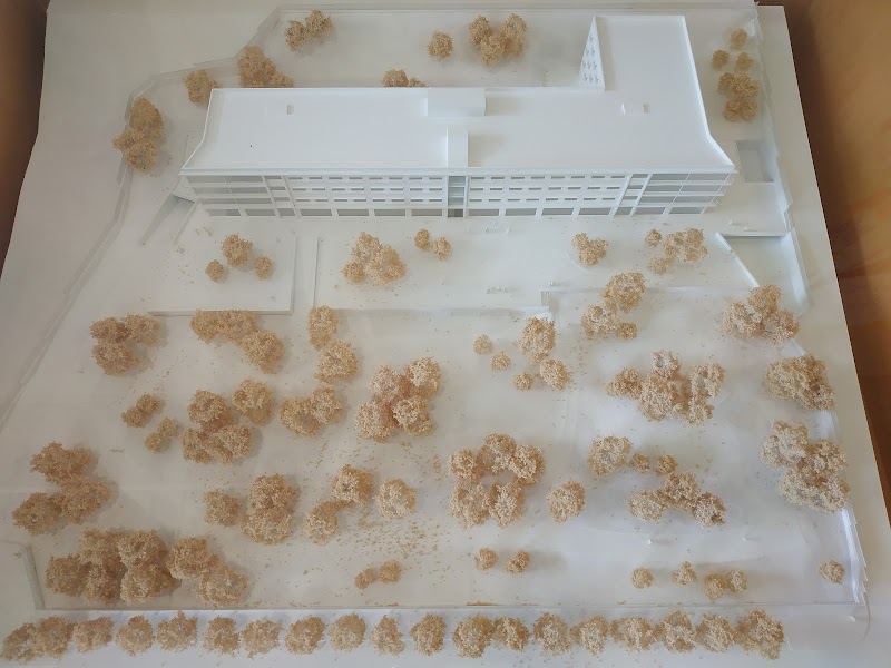 C. S. S. Sant Jordi — foto 8