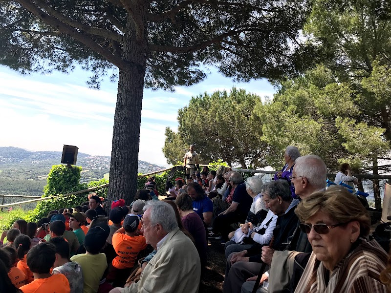 Residència Els Saulons — foto 2