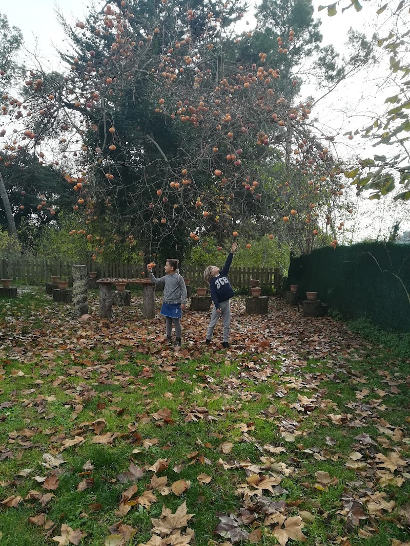 Llar residència El Racó — foto 4