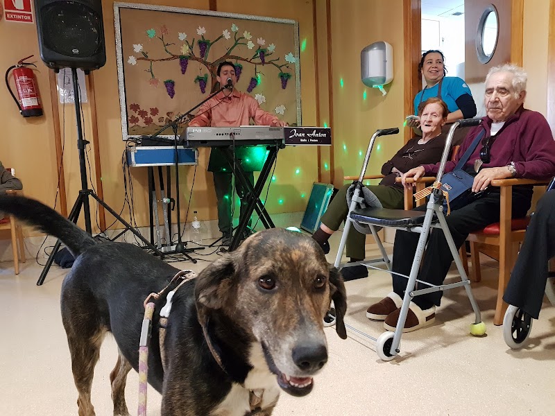 Residència La Ginesta — foto 1