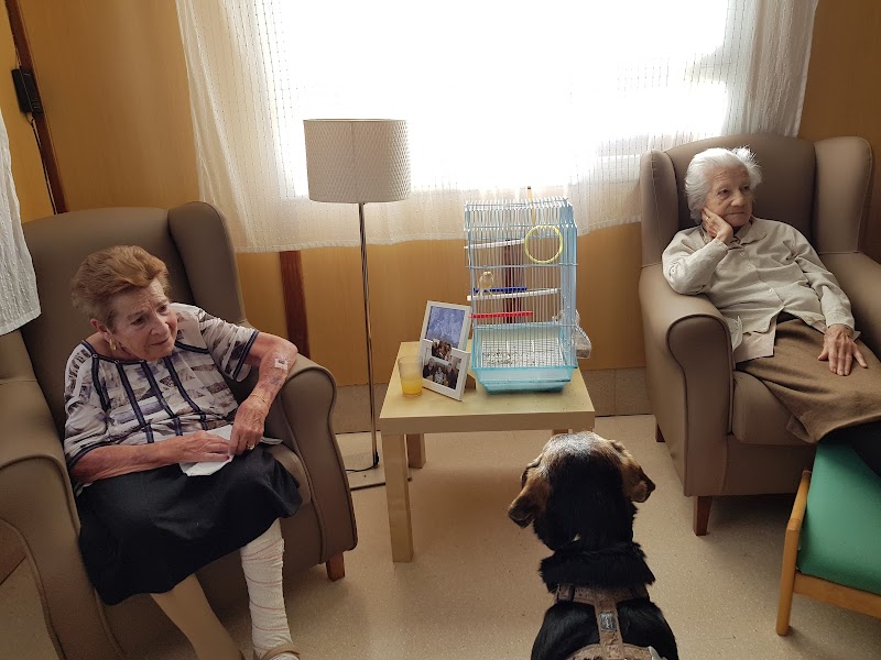 Residència La Ginesta — foto 6