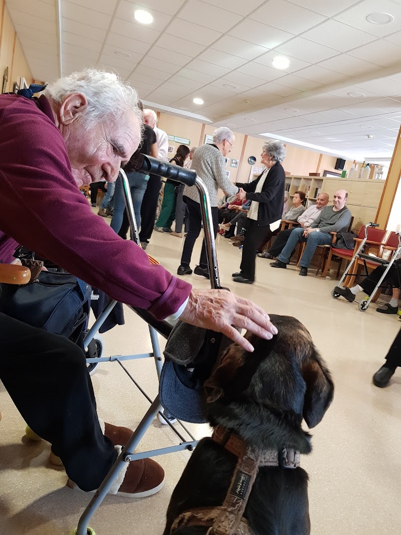 Residència La Ginesta — foto 8