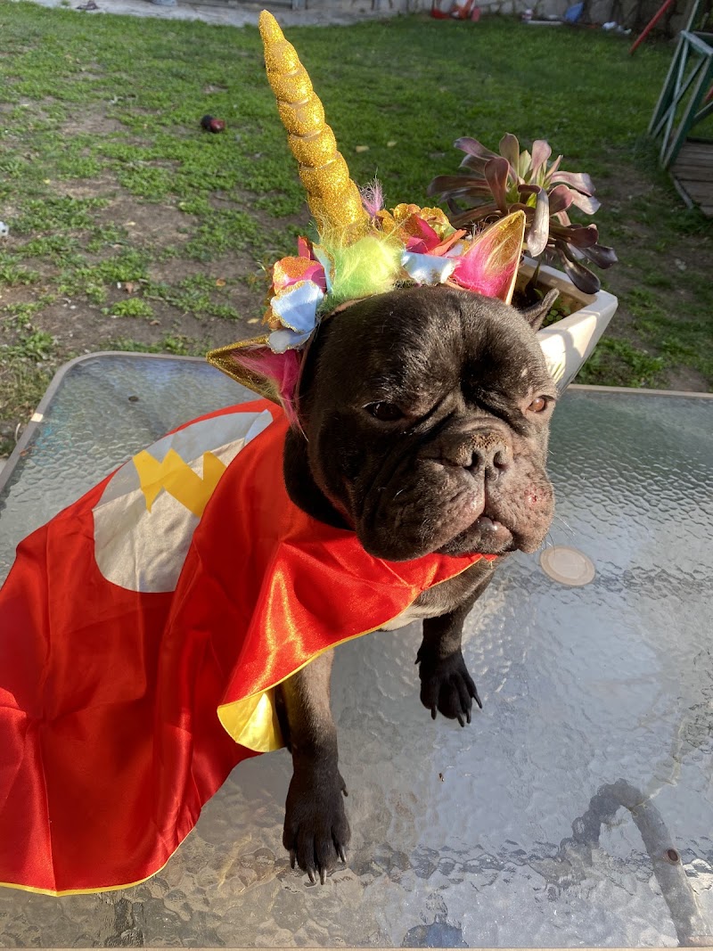 Residencia La Torreta de Corbera — foto 9