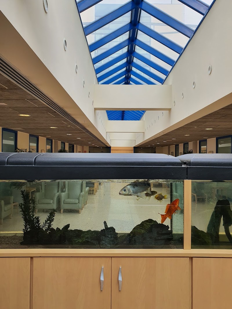 Pisos tutelados para personas mayores — foto 7