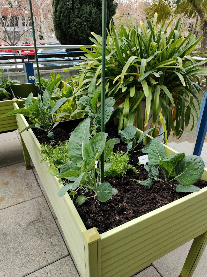 Pisos tutelados para personas mayores — foto 8