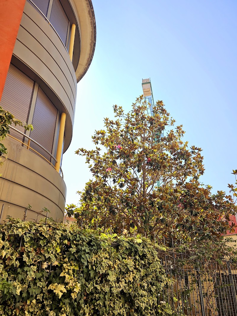 Residència Fundació Antònia Roura Barbany — foto 5