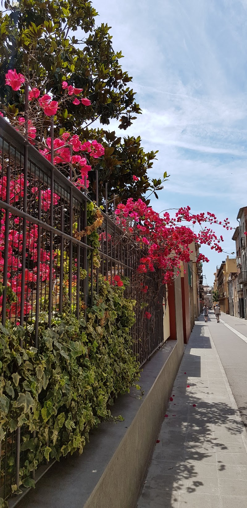 Residència Fundació Antònia Roura Barbany — foto 7