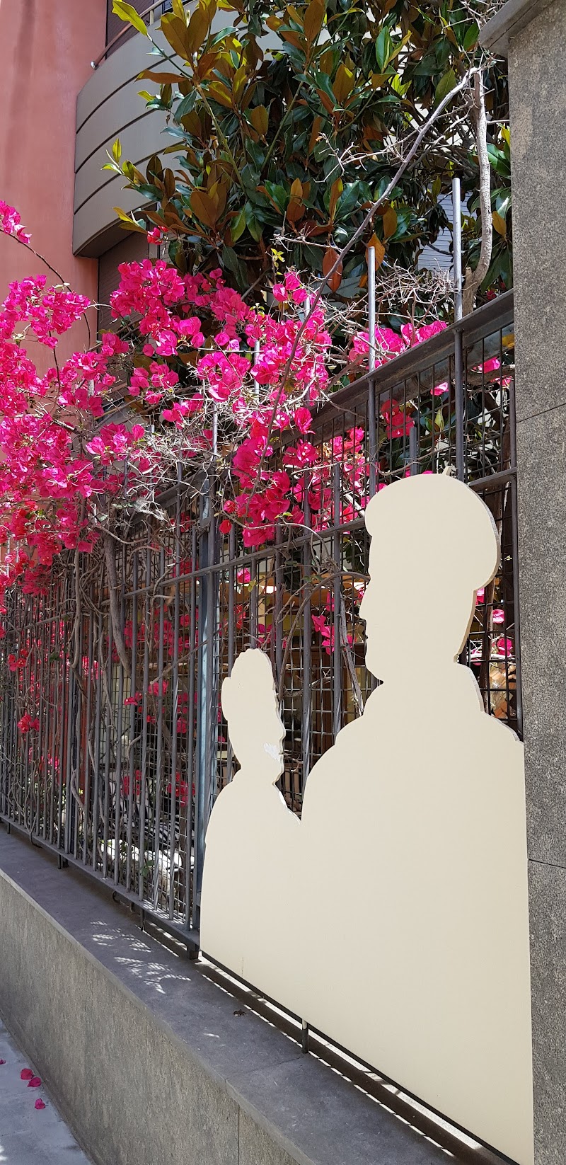 Residència Fundació Antònia Roura Barbany — foto 8