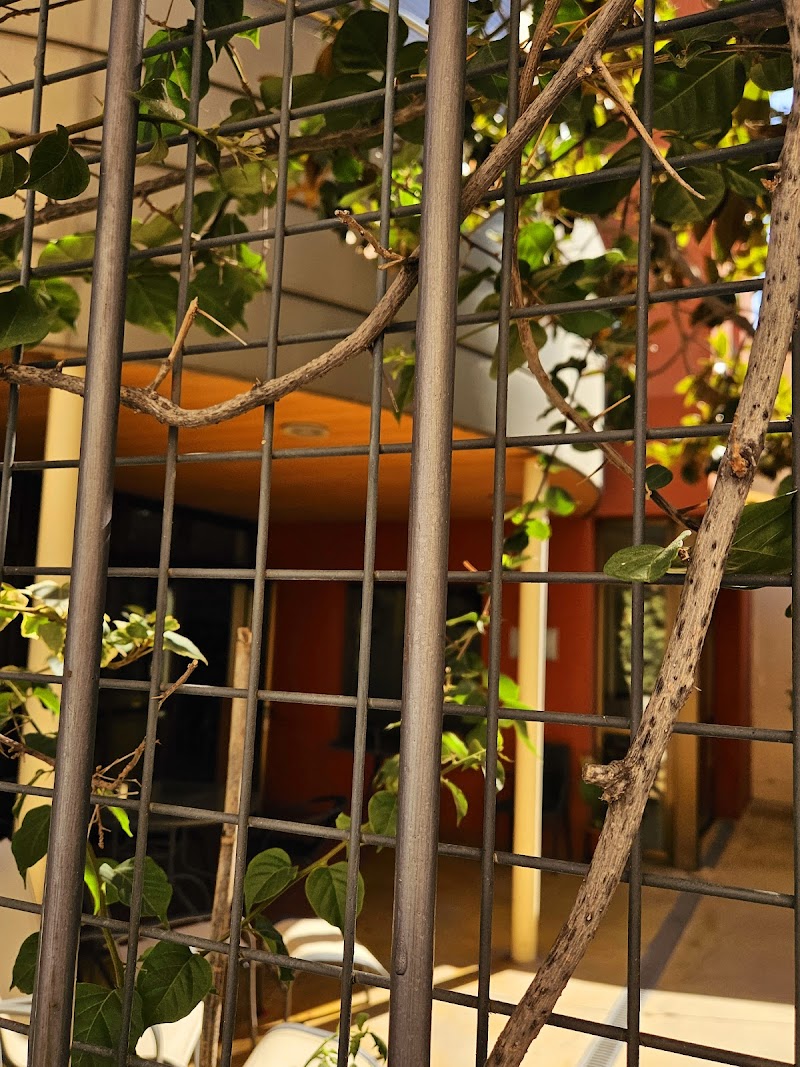 Residència Fundació Antònia Roura Barbany — foto 10