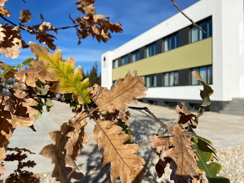 Els Roures de Matadepera — foto 1