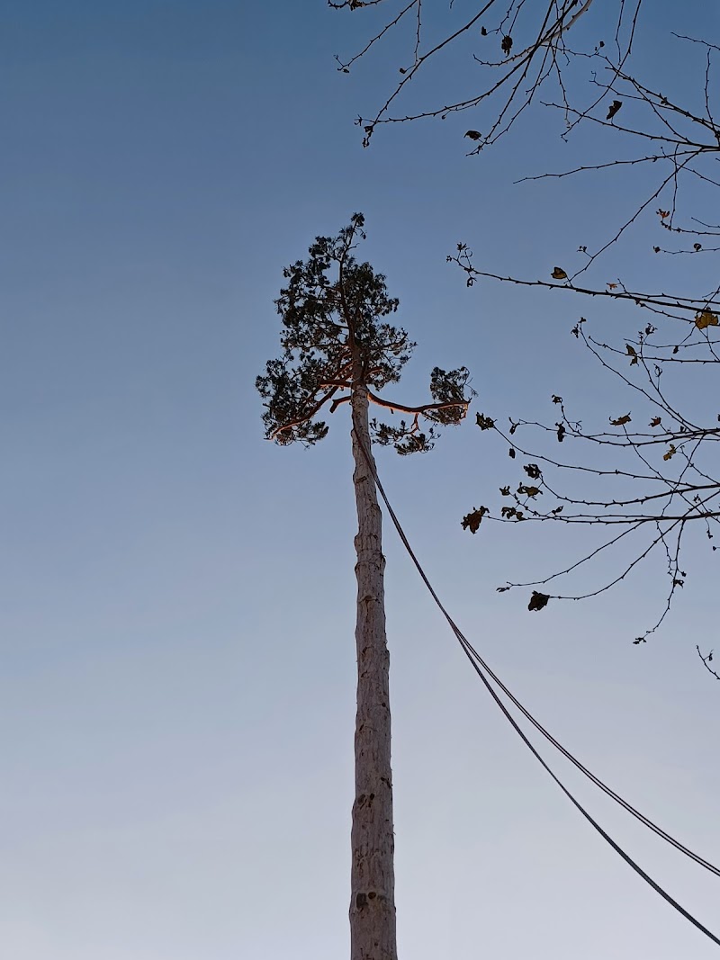 Els Roures de Matadepera — foto 5