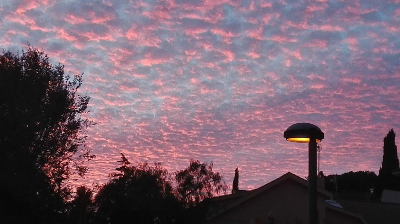 Centre geriàtric Can Boada — foto 8