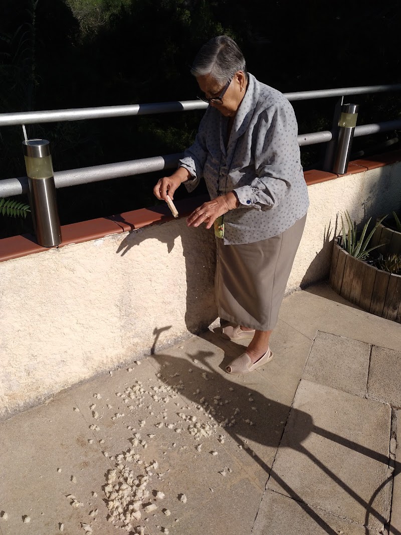 Residencia Sant Agustí — foto 6