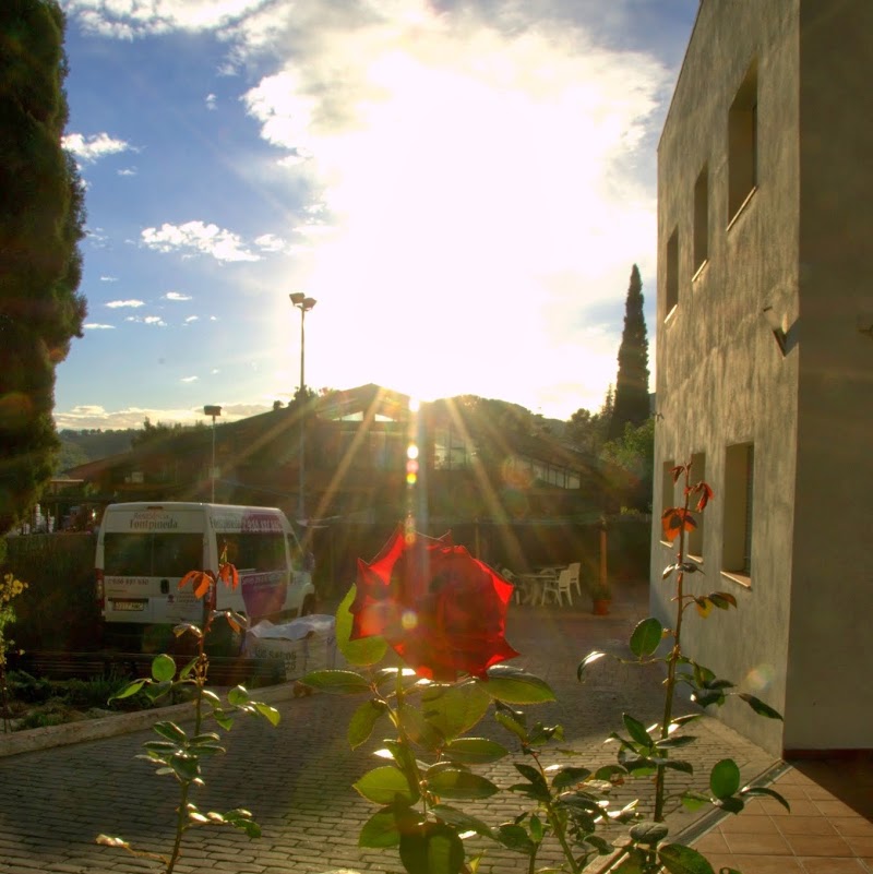 Residència Fontpineda 2000 — foto 2