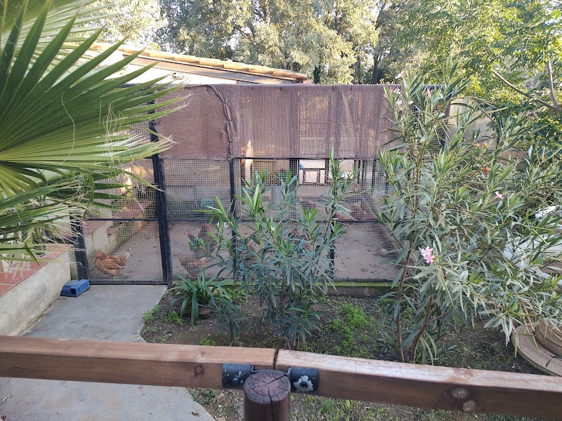 Residència Meritxell — foto 5