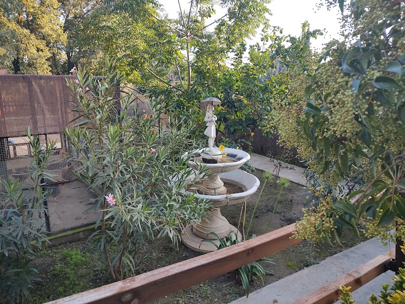 Residència Meritxell — foto 6