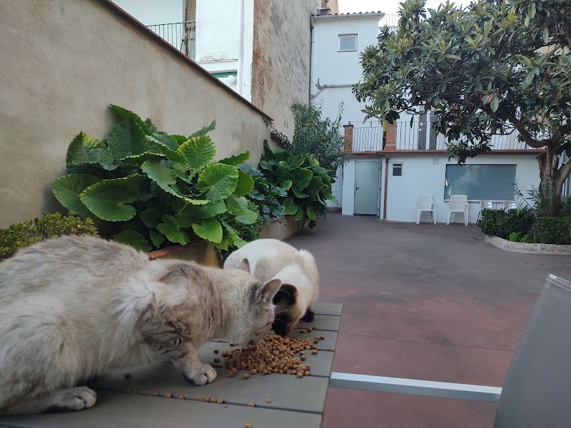 Residència Meritxell — foto 7