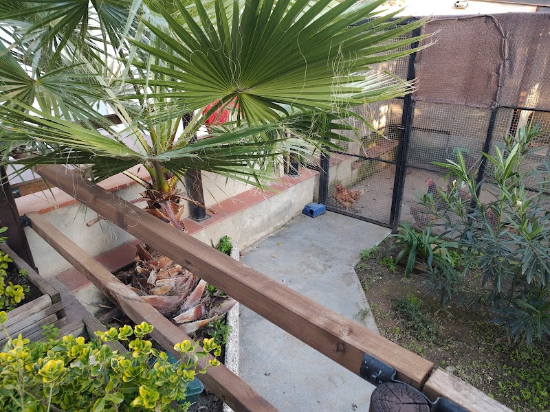 Residència Meritxell — foto 8