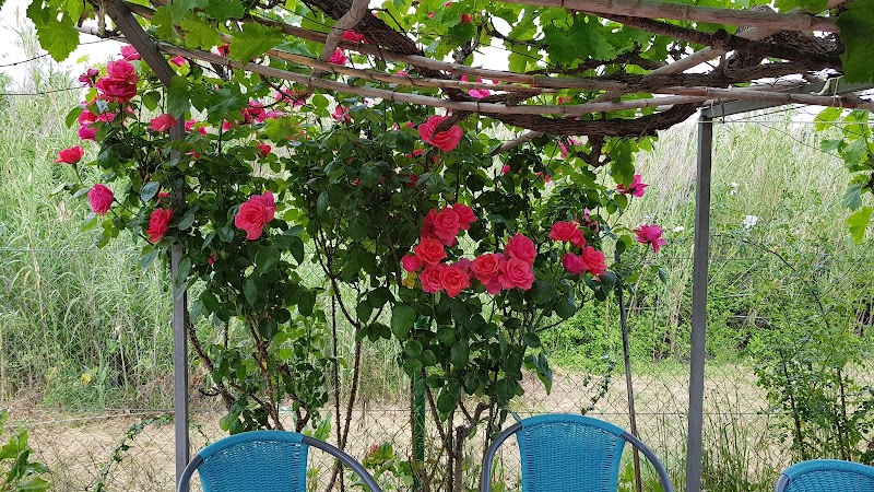 S. R. Lux (Serveis Residencials Lux) — foto 2