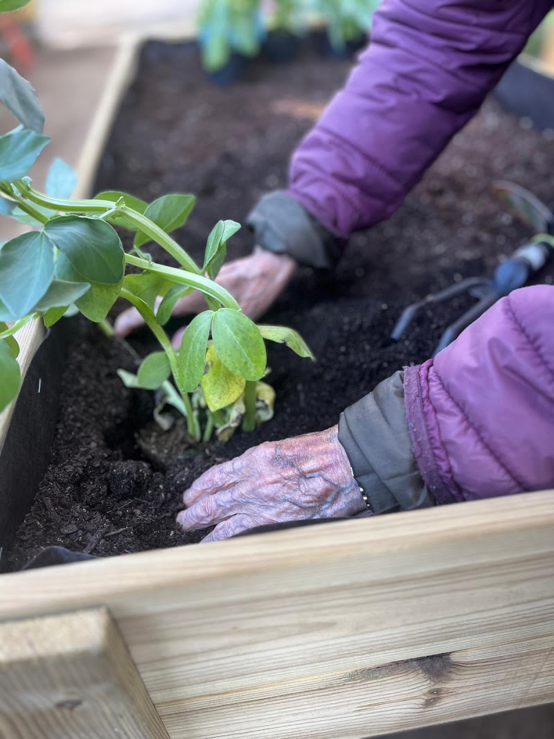 Llar Carme — foto 3