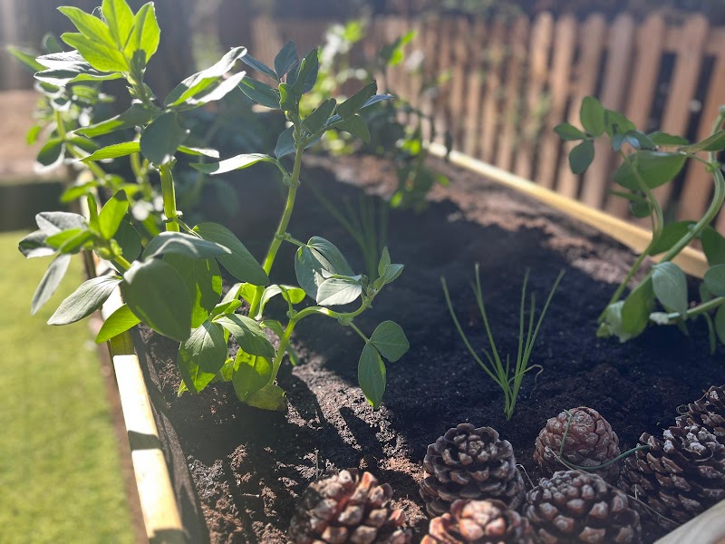 Llar Carme — foto 4