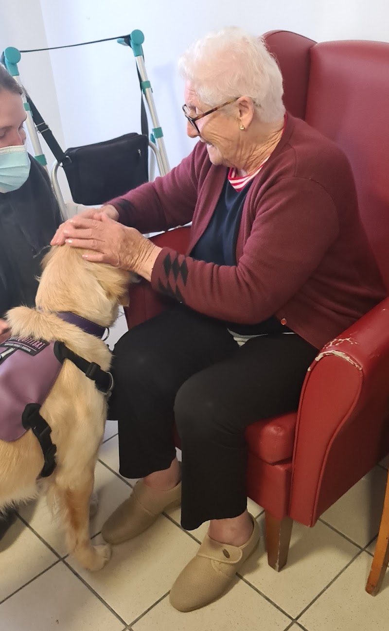 Residència Anna — foto 8