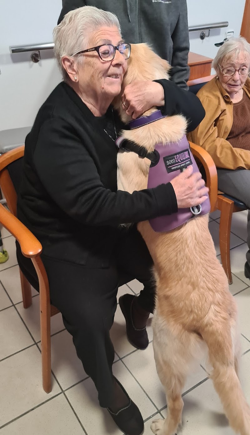 Residència Anna — foto 10