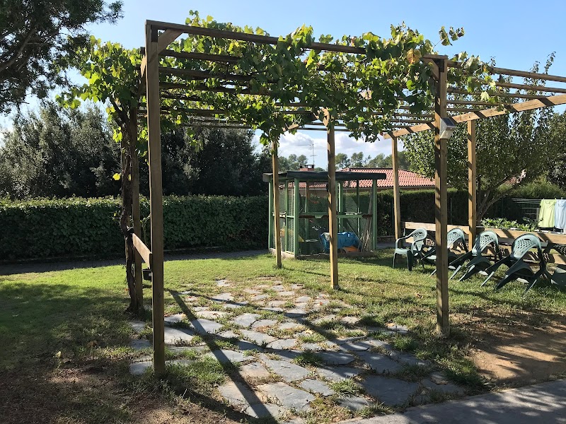 Residencia 3ª edad Castellarnau Anais — foto 4