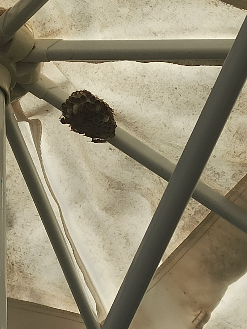 Residència geriàtrica L'Estada — foto 2